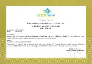 doğalgaz yoğuşmalı kombi markaları